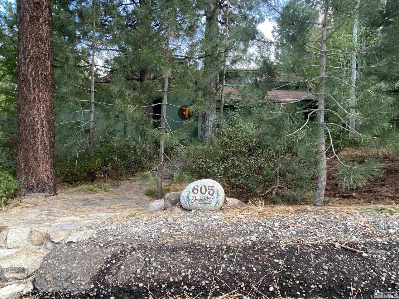 605 Douglas Fir - Photo 1