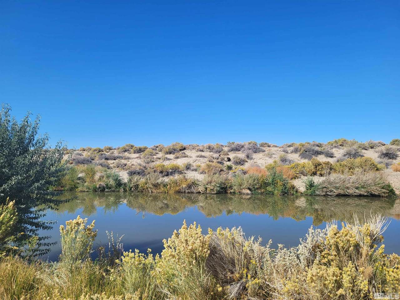 Apn 007-091-90 & 007-091-80 - Photo 1