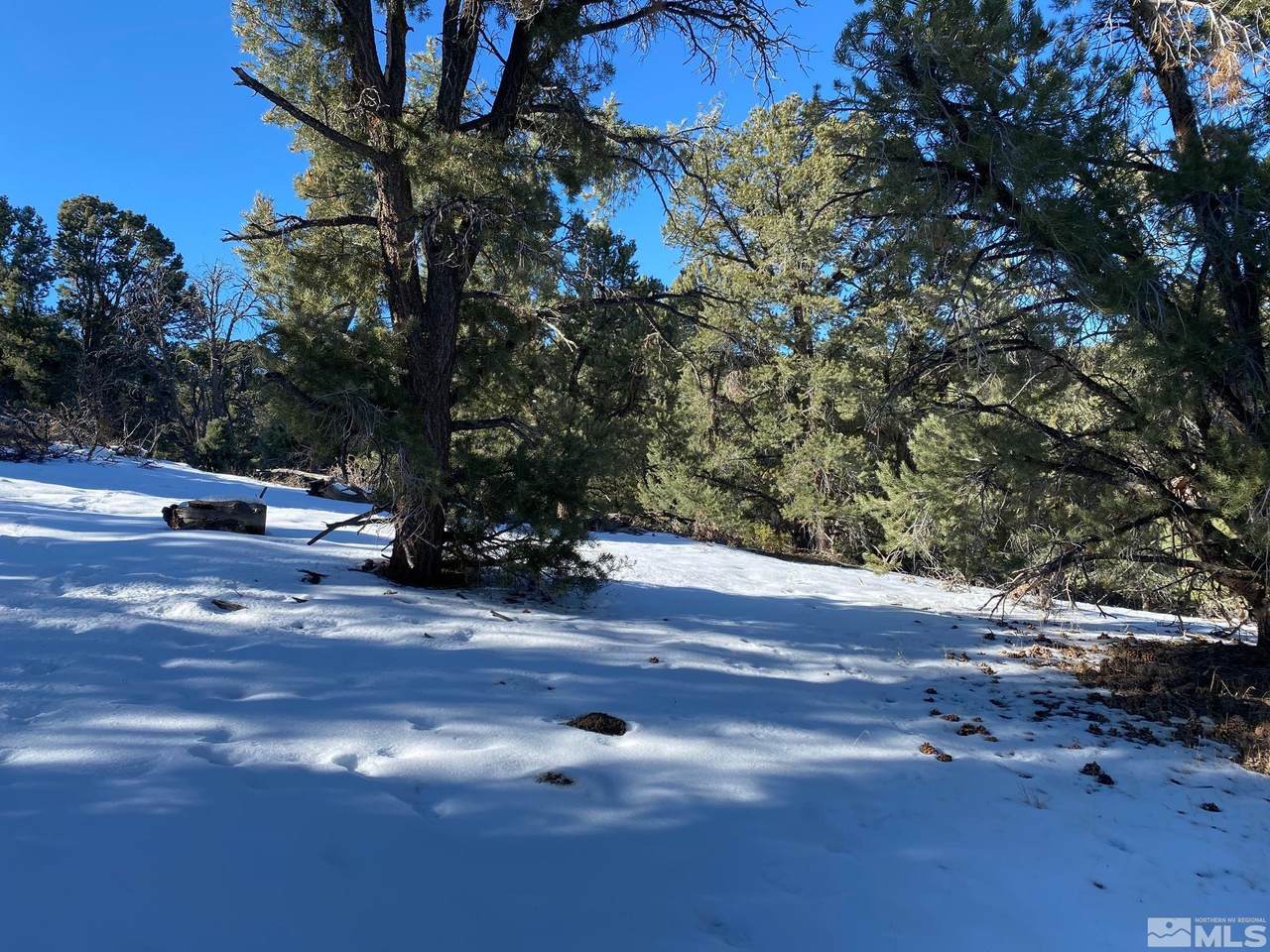 1640 Nugget Rd - Photo 1