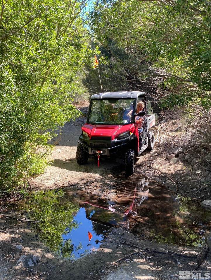 TBD El Dorado Canyon Lyon - Photo 1