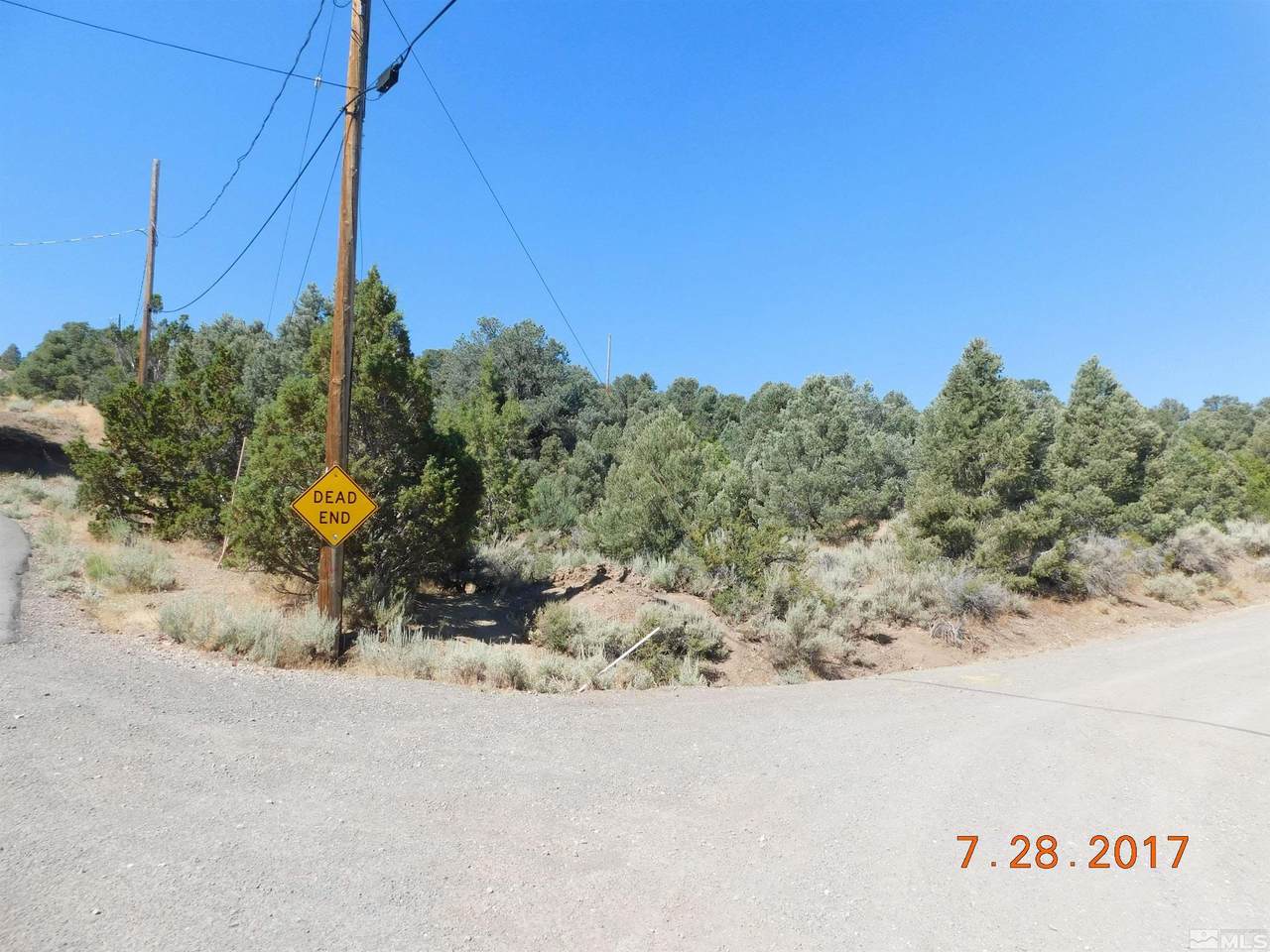 21665 Appaloosa Drive - Photo 1