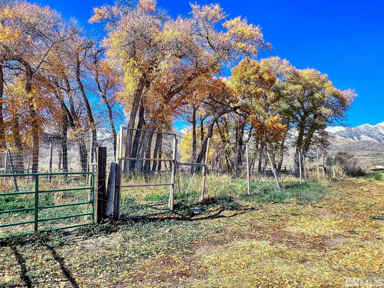 9052 Ruby Valley Road - Photo 1