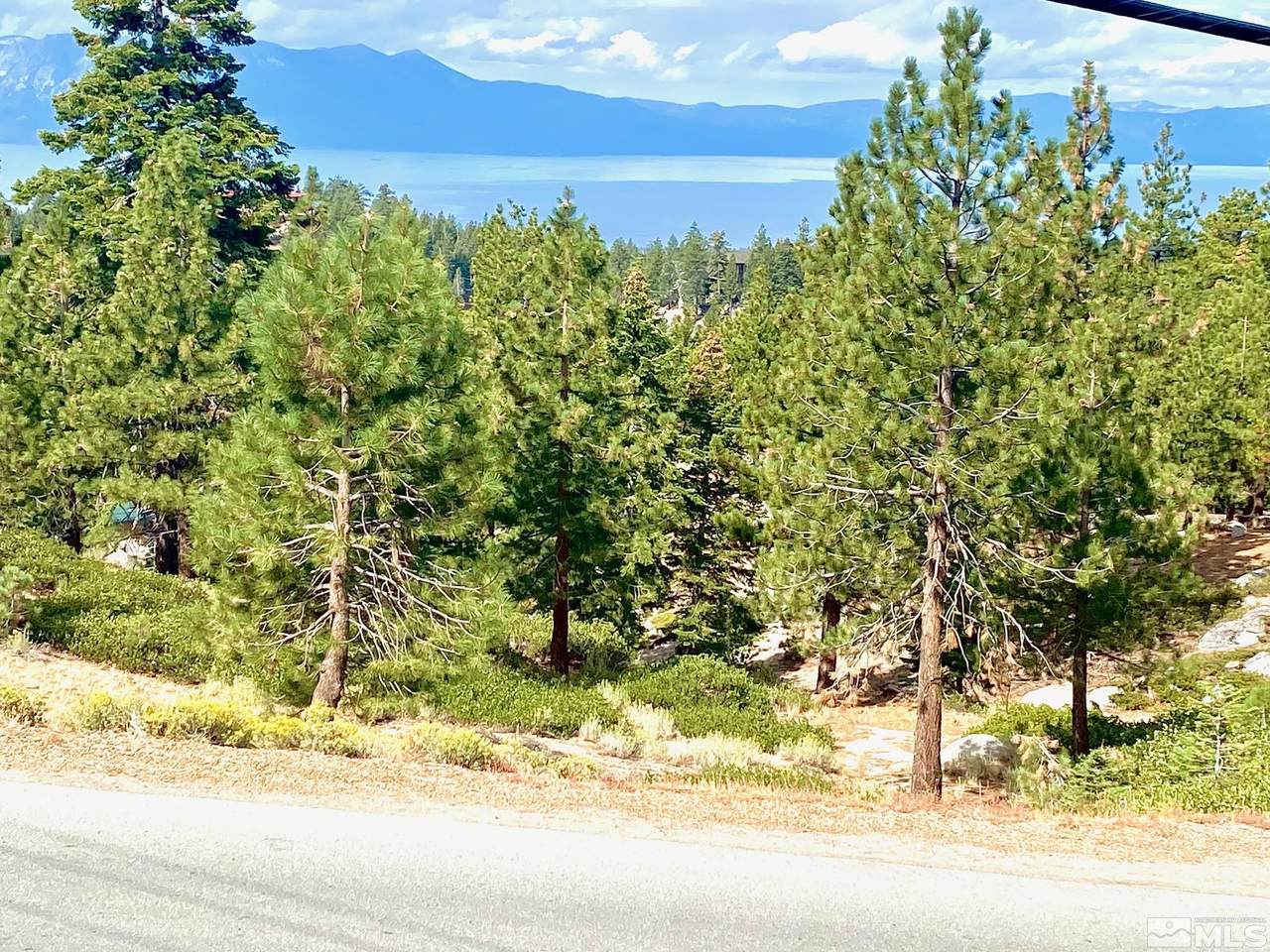 313 Tramway Drive - Photo 1