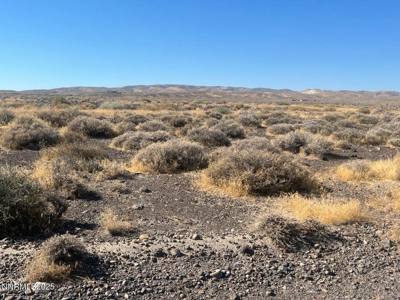 4305 Whitney Lane - Photo 1