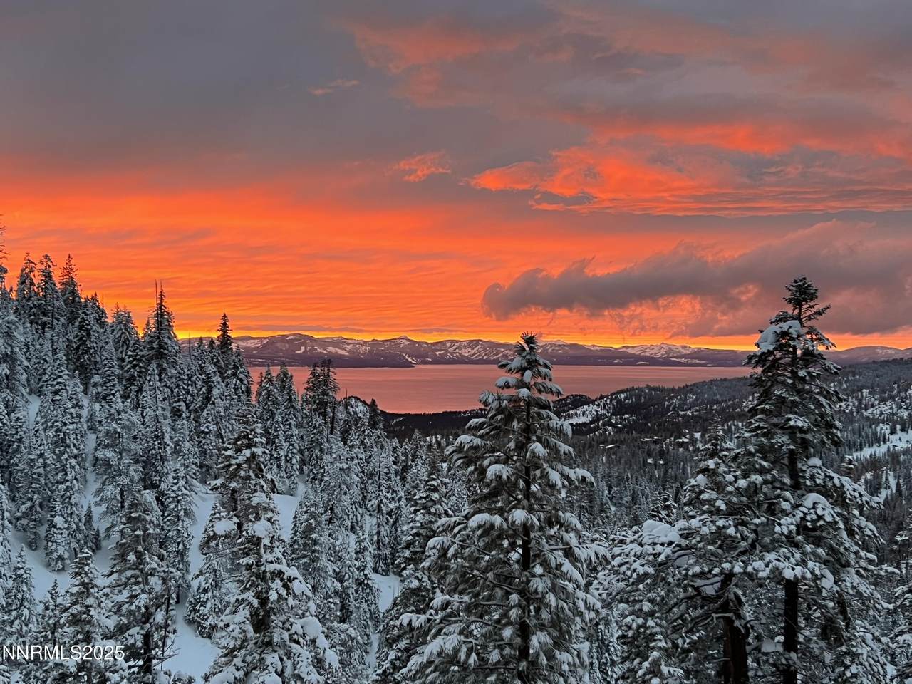 771 Bowl Lane - Photo 1