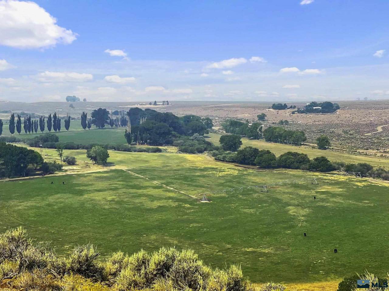 16010 Martin Creek Road - Photo 1