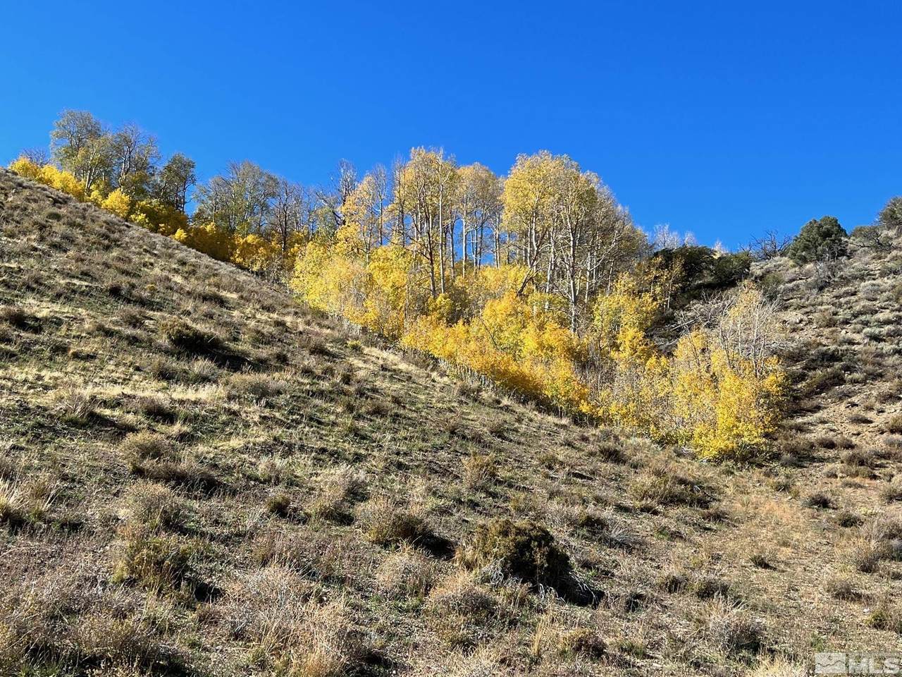 TBD Pine Nut Mountains (37) - Photo 1