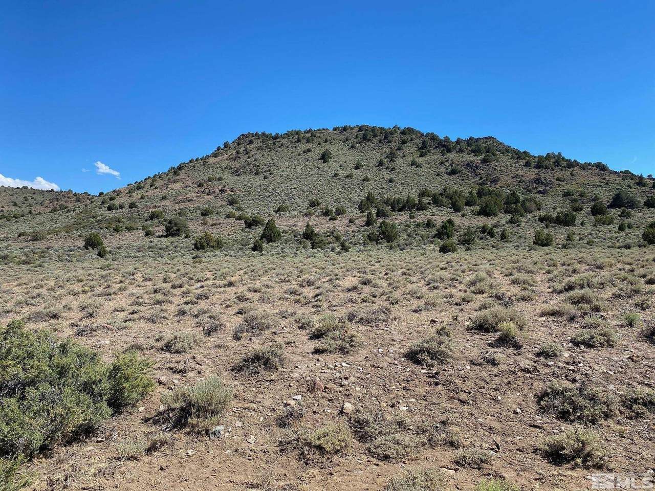203-S Long Valley Rd - Photo 1
