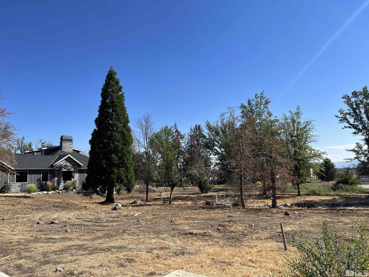 6158 Falabella Way - Photo 1