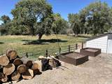 1677 Rio Vista Drive - Photo 24