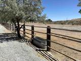 1677 Rio Vista Drive - Photo 28