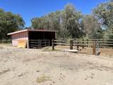 1677 Rio Vista Drive - Photo 32