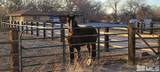 1677 Rio Vista Drive - Photo 40