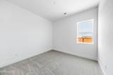 11557 Vinegar Peak Drive - Photo 13