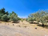 2345 4th Street - Photo 20