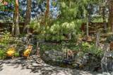 930 Spanish Springs Road - Photo 11