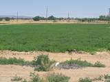 900 Cattle Drive - Photo 17