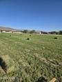 900 Cattle Drive - Photo 19