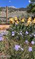 113 Victorine Drive - Photo 43