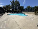 2775 Snapdragon Way - Photo 17