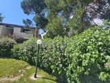 2435 Sycamore Glen Drive - Photo 16