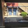 3200 Bristle Branch Drive - Photo 2