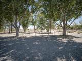 7900 Sunset Drive - Photo 38