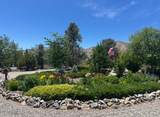 3670 Pine Nut Way - Photo 3