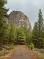 5720 Money Road - Photo 129