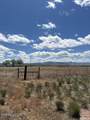 540 Sage Heights Road - Photo 12
