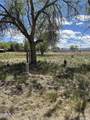 540 Sage Heights Road - Photo 23