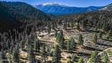 4650 Old Clear Creek Road - Photo 6