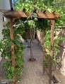 10691 Fire Poppy Circle - Photo 23
