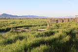 13405 Chimney Dam Road - Photo 14