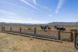 4800 Amy Road - Photo 61