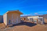 4595 Hackamore Lane - Photo 47