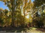4755 Alcorn Road - Photo 20