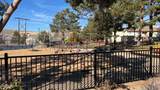 3910 Clear Acre Lane - Photo 14