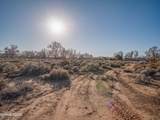 1356 Stephanie Way - Photo 12