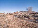 1356 Stephanie Way - Photo 9