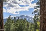 16911 Mt Rose Highway - Photo 29
