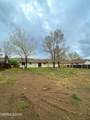 3835 Snipe Drive - Photo 24