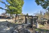 13600 Stoney Brook Drive - Photo 48