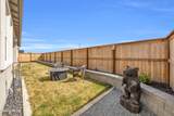 7572 Calypso Drive - Photo 49