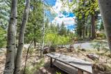 350 Black Pine Court - Photo 19