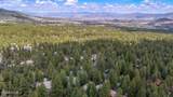 350 Black Pine Court - Photo 59