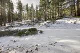 20102 Hibbet Trail - Photo 41
