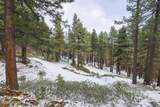 20102 Hibbet Trail - Photo 43