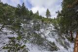 20102 Hibbet Trail - Photo 44