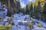 20102 Hibbet Trail - Photo 45